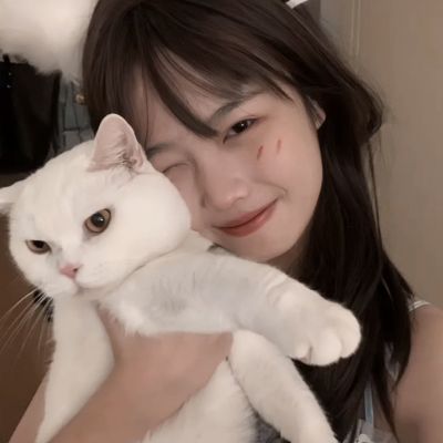 王者三国荣誉游戏
