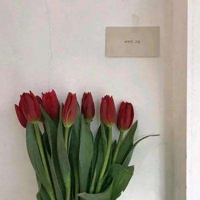 元神天变态版下载